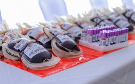 Ubuzima: Umwaka wa 2024 mu Rwanda hatanzwe udushashi ibihumbi 86 by’Amaraso