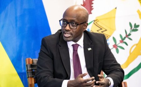 Minisitiri w’Ububanyi n’Amahanga Olivier Nduhungirehe yagiranye ibiganiro na Mugenzi we wa Israel