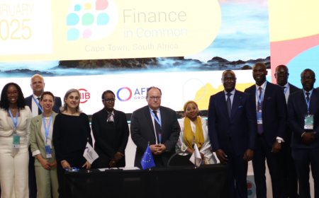 Africa Finance Corporation's $750 million Climate Resilient Infrastructure Fund is supported by the EIB