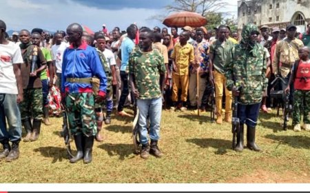 Cibitoki: Icyoba ni cyose mu baturage bakomeje kubona Imbonerakure zikomeje gutozwa n’abarimo FDLR