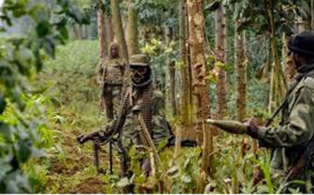 Icyo Rwanda Civil Society Platform ivuga ku bibazo by’umutekano mucye biri muri DRC n'ibihano byafatiwe u Rwanda