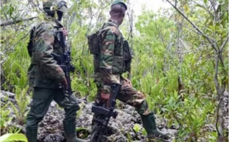 DRC: Umujyi wa Walikale wafashwe n’abarwanyi ba M23