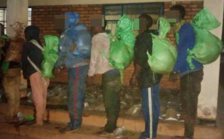 BURERA: Batandatu bafatanwe kanyanga n’ibiro 15 by’urumogi