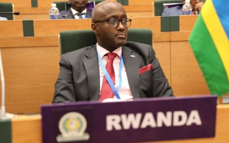 Minisitiri Nduhungirehe yagaragarije amahanga ko ibibazo bya Congo bigerekwa ku Rwanda bitijwe umurindi na FDLR