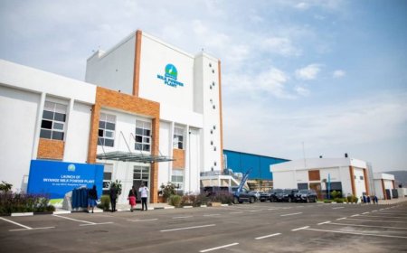 Nyagatare: Umusaruro w'uruganda rutunganya amata y'ifu watangiye kujya hanze