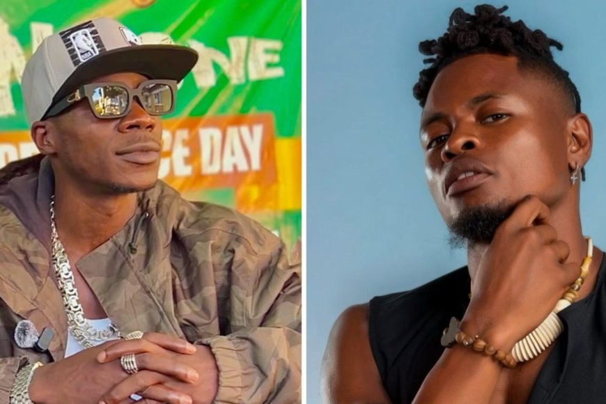 Pallaso ntiyicuza kuba yarihoreye kuri Alien Skin