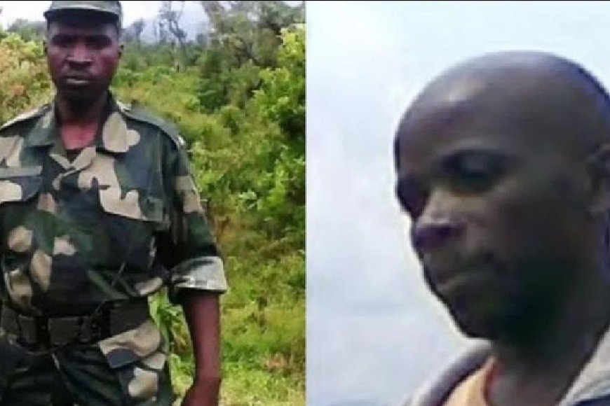 Iherezo rya FDLR ikingirwa ikibaba n'imiryango mpuzamahanga rizaba irihe?