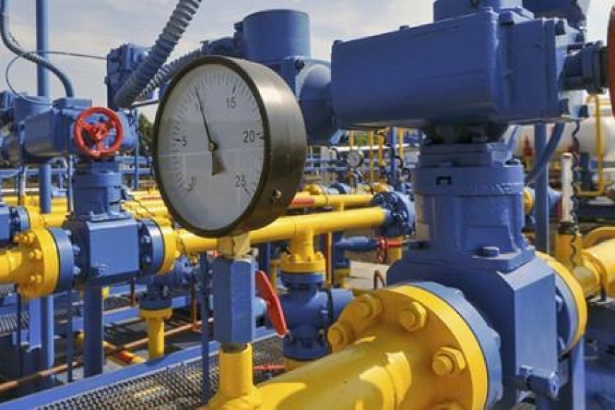 Kwangiza ibidukikije hashakwa inkwi n'amakara bigiye gushyirwaho akadomo