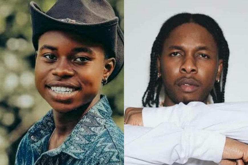 Peller umenyerewe kuri TikTok yasabye imbabazi Runtown yise umuhanzi ukizamuka