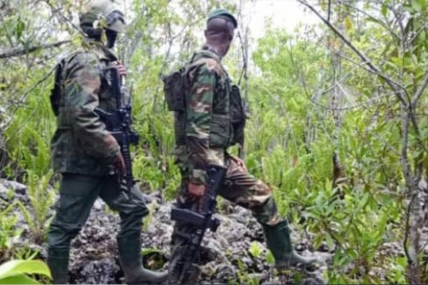 DRC: Umujyi wa Walikale wafashwe n’abarwanyi ba M23