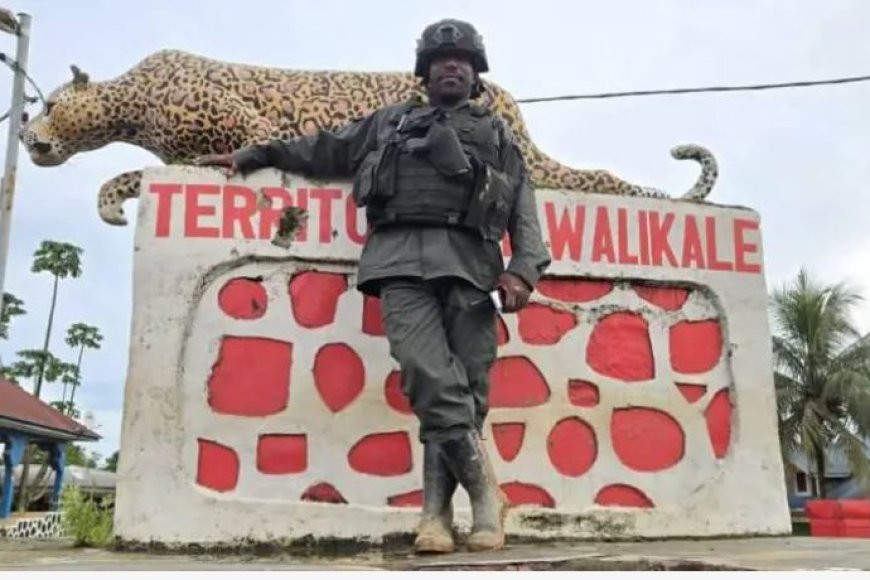 Turemeza ko umujyi wa Walikale wabohowe-M23