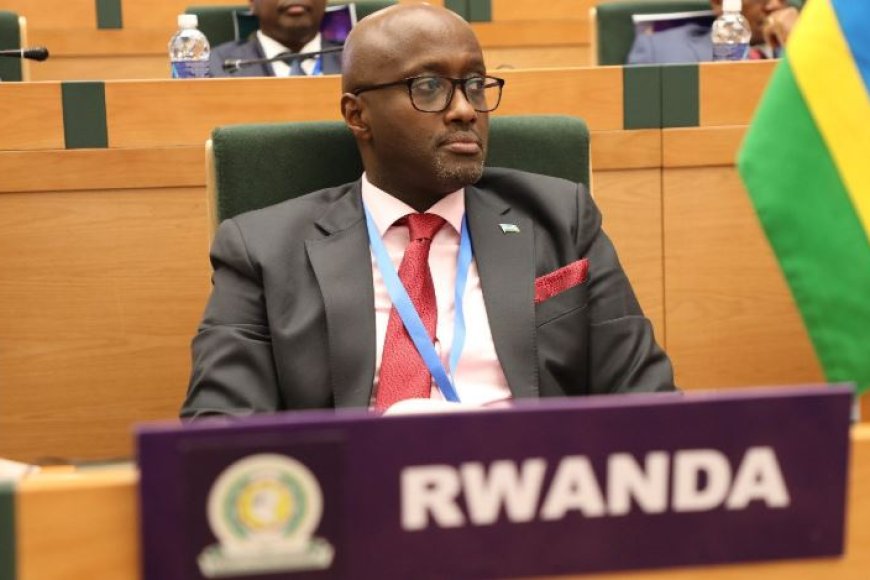 Minisitiri Nduhungirehe yagaragarije amahanga ko ibibazo bya Congo bigerekwa ku Rwanda bitijwe umurindi na FDLR