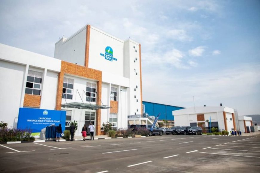 Nyagatare: Umusaruro w'uruganda rutunganya amata y'ifu watangiye kujya hanze