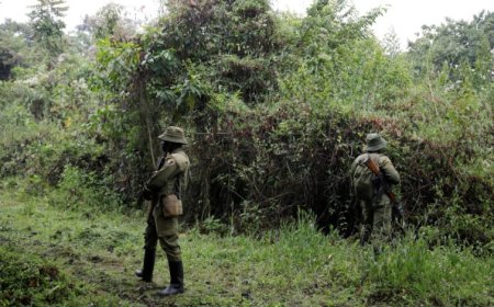 Rutshuru: Humvikanye urusaku rw’amasasu bicyekwa ko ari M23 yarasanye na FDLR   