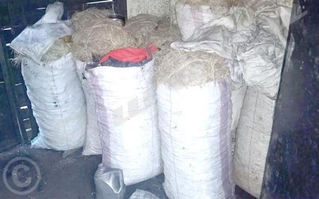 Burundi: Kwigondera inyama n'amakara birakorwa n'umugabo bigasiba undi