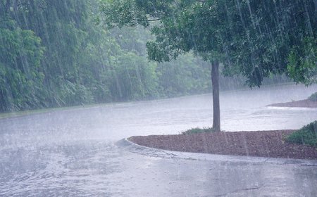 Iminsi isigaye y’ukwezi kwa Mata,izagwamo imvura itazabangamira ubuhinzi