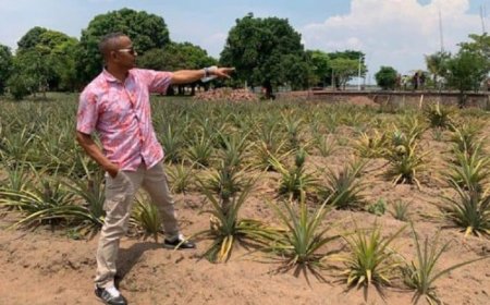 Imiryango itegamiye kuri Leta yifatiye ku Gahanga ingabo za 'FARDC' zigabije ifamu ya Moise Katumbi