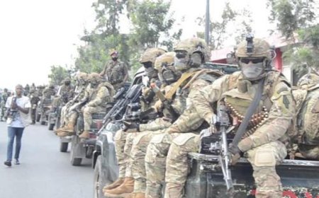 Ingabo za FARDC zahungiye kuri MONUSCO ubwo Goma yafatwaga na M23  zatangiye koherezwa i Kinshasa