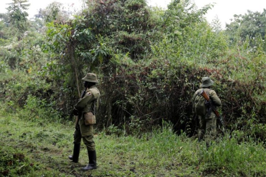 Rutshuru: Humvikanye urusaku rw’amasasu bicyekwa ko ari M23 yarasanye na FDLR
