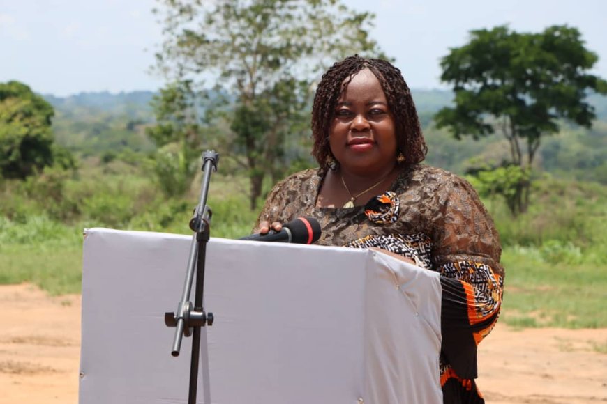 Centrafrique: Guverineri yashimye imiyoborere y’u Rwanda ireba kure