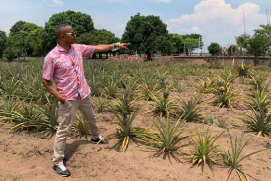 Imiryango itegamiye kuri Leta yifatiye ku Gahanga ingabo za 'FARDC' zigabije ifamu ya Moise Katumbi