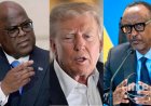 "Looking very good": Trump praises the status of the DRC and Rwanda mediation