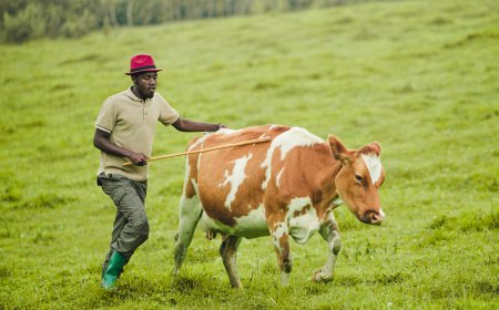 The unique story of Ngabo Karegeya “Ibere rya Bigogwe”