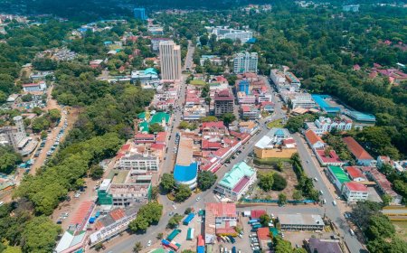 Tanzania: Umujyi wa Arusha uri gutegurirwa guhangana na Kigali k'ubukerarugendo bushingiye ku nama