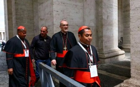 Imigenzo yo gutora Papa Mushya iratangira, dore uko atorwa