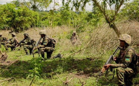 Three died and six Rwandan soldiers were wounded in an ambush in Mozambique