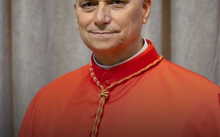 Robert Francis Prevost as the 267th Pope, who took the name Pope Leo XIV