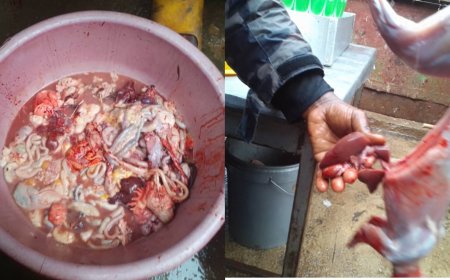 Kigali: Basigaye barya amajanja y'inkoko n'amara yazo