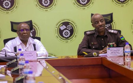 CG Murenzi yakiriye itsinda  ryaturutse muri Namibia riyobowe n’Umuyobozi wungirije w’Urukiko rw’Ikirenga