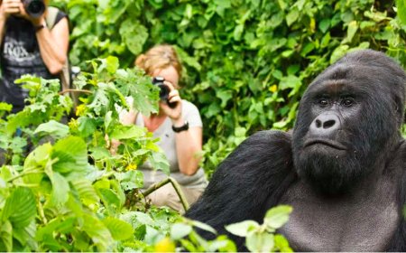 Africa’s Tourism Surge: Discover a Developing Global Travel Hotspot