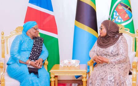 Tanzania: Perezida Samia Suluhu yakiriye Netumbo wa Namibia buhuje byinshi mu nzira ya politiki