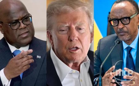 "Looking very good": Trump praises the status of the DRC and Rwanda mediation