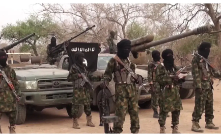 Habonetse indi mirambo 20 y’indwanyi za ISWAP