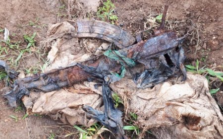 Nyanza: Habonetse imbunda mu murima