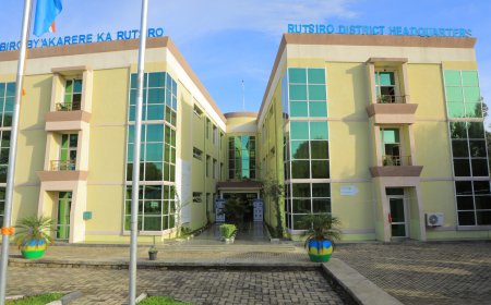 Rutsiro:  Umugabo watemaga ibiti by’amakara mu ishyamba kimwe cyamugwiriye arapfa