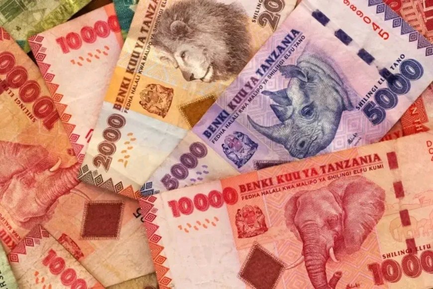 Tanzania yakuyeho ikoreshwa ry'Amadovize imbere mu gihugu