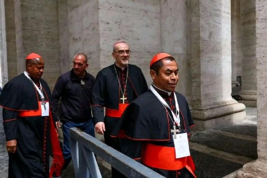 Imigenzo yo gutora Papa Mushya iratangira, dore uko atorwa