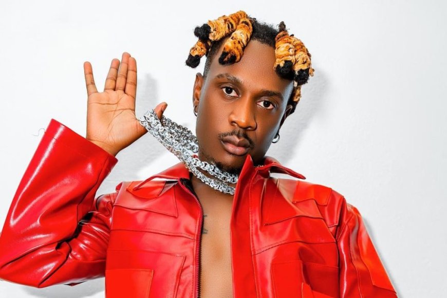 Fik Fameica yahakanye ibyo gufashwa na Pallaso