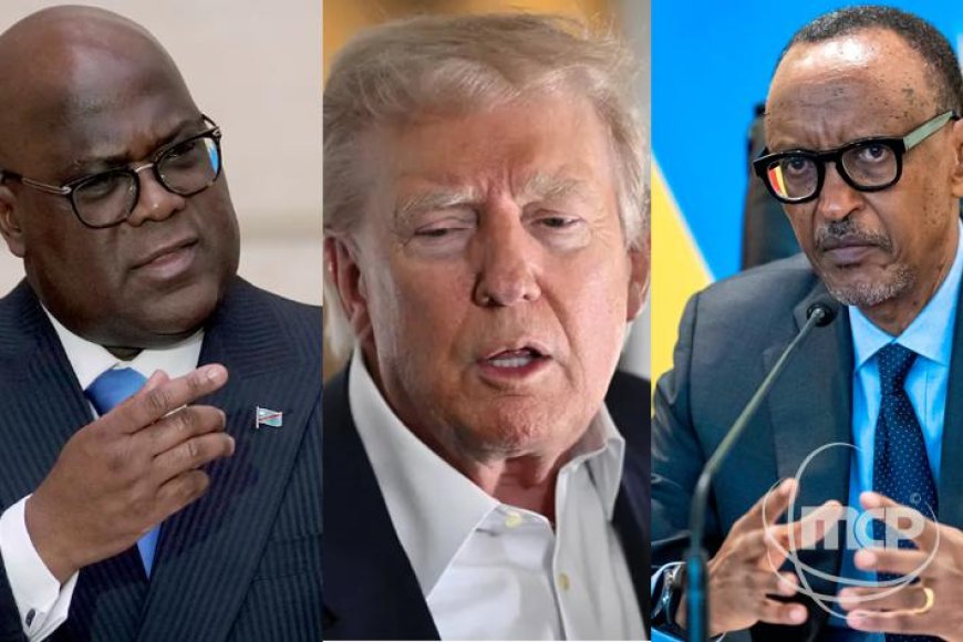 "Looking very good": Trump praises the status of the DRC and Rwanda mediation
