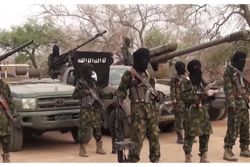 Habonetse indi mirambo 20 y’indwanyi za ISWAP