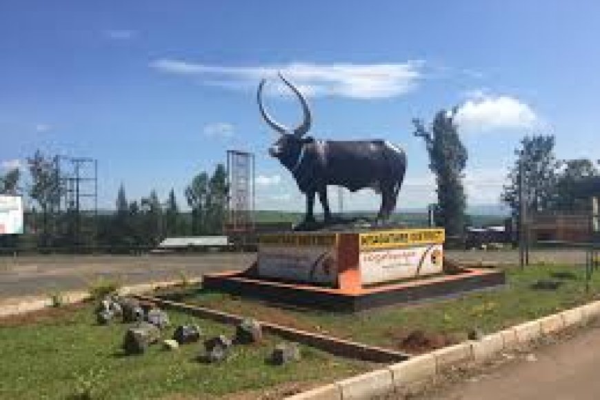 Nyagatare: Hagiye kubakwa inzu ya miliyoni 700 Frw izumishirizwamo urusenda