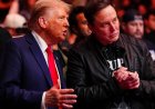 Umubano wa Trump na Musk ushobora kutazasubiraho ukundi