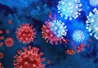 The Covid-19 virus has returned to Rwanda