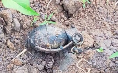 Rusizi: Umugabo warimburaga umugano yasanzemo gerenade