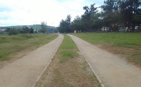 Miliyari 40 frw zigiye gukoreshwa mu gutunganya ibishanga  mu Mujyi wa Kigali