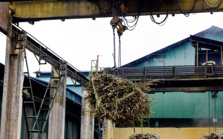 U Rwanda rugiye kunguka uruganda rw’isukari ruzatunganya toni 6000 ku mwaka